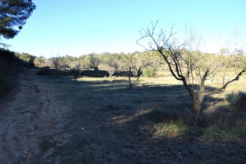 Finca i Fabara, Zaragoza, Fabara - € 29.000 | Ref: 1045 - foto 17
