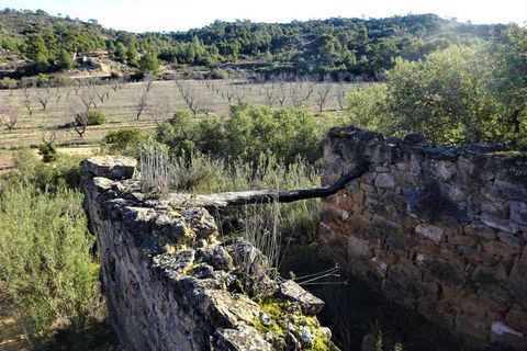 Finca i Fabara, Zaragoza, Fabara - € 29.000 | Ref: 1045 - foto 11