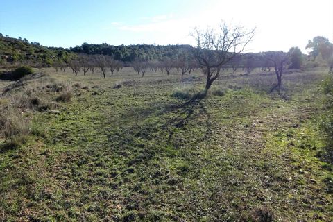 Finca i Fabara, Zaragoza, Fabara - € 29.000 | Ref: 1045 - foto 18