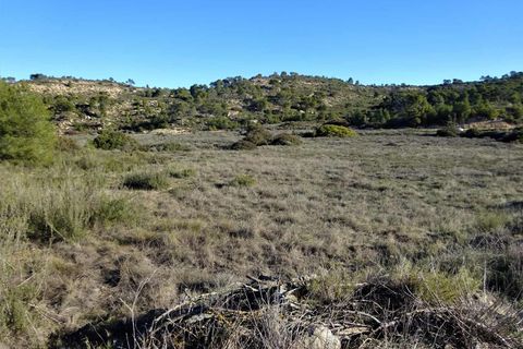 Finca i Fabara, Zaragoza, Fabara - € 29.000 | Ref: 1045 - foto 19