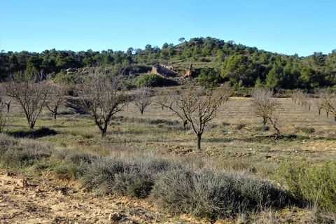 Finca i Fabara, Zaragoza, Fabara - € 29.000 | Ref: 1045 - foto 21