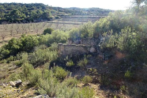 Finca i Fabara, Zaragoza, Fabara - € 29.000 | Ref: 1045 - foto 8