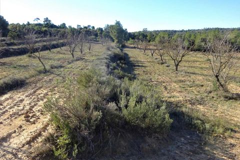 Finca i Fabara, Zaragoza, Fabara - € 29.000 | Ref: 1045 - foto 20