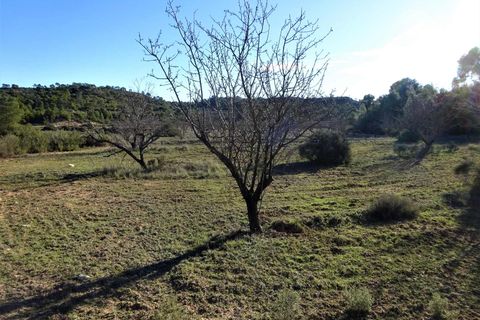 Finca i Fabara, Zaragoza, Fabara - € 29.000 | Ref: 1045 - foto 16