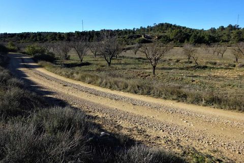 Finca i Fabara, Zaragoza, Fabara - € 29.000 | Ref: 1045 - foto 22