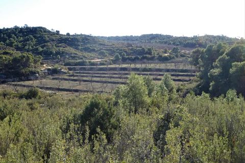 Finca i Fabara, Zaragoza, Fabara - € 29.000 | Ref: 1045 - foto 13