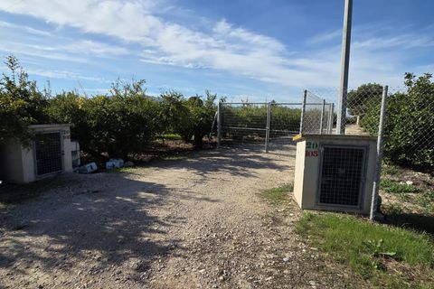 Byhus i Albatera, Alicante, Albatera - € 175.000 | Ref: CLDT-17534 - foto 2