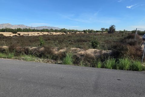 Byhus i Albatera, Alicante, Albatera - € 175.000 | Ref: CLDT-17534 - foto 10