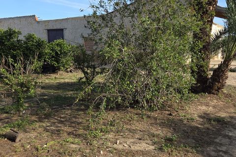 Byhus i Albatera, Alicante, Albatera - € 175.000 | Ref: CLDT-17534 - foto 18