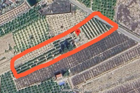Byhus i Albatera, Alicante, Albatera - € 175.000 | Ref: CLDT-17534 - foto 20