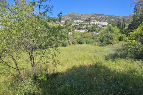 Finca i Mijas, Malaga, Mijas - € 1.380.000 | Ref: ES14477F - foto 18