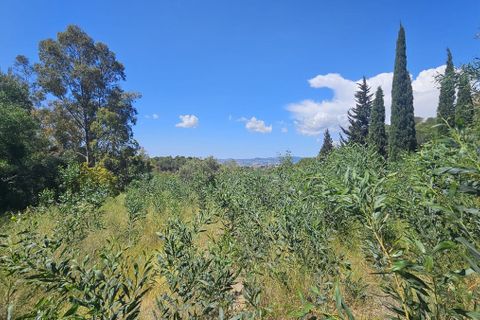 Finca i Mijas, Malaga, Mijas - € 1.380.000 | Ref: ES14477F - foto 26