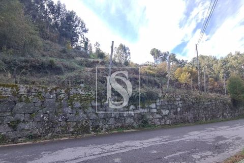 Helårsgrund i Amarante, Porto, Amarante - € 90.000 | Ref: 20251152ST/12937 - foto 3