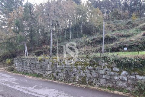 Helårsgrund i Amarante, Porto, Amarante - € 90.000 | Ref: 20251152ST/12937 - foto 5