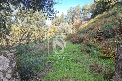Helårsgrund i Amarante, Porto, Amarante - € 90.000 | Ref: 20251152ST/12937 - foto 7