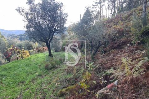 Helårsgrund i Amarante, Porto, Amarante - € 90.000 | Ref: 20251152ST/12937 - foto 8