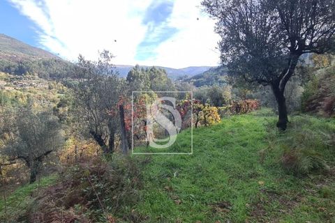 Helårsgrund i Amarante, Porto, Amarante - € 90.000 | Ref: 20251152ST/12937 - foto 9
