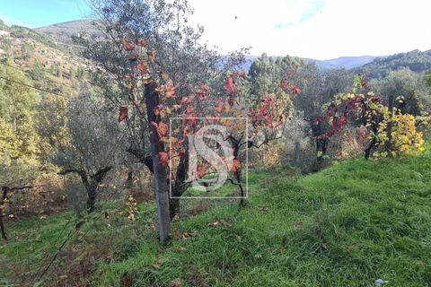 Helårsgrund i Amarante, Porto, Amarante - € 90.000 | Ref: 20251152ST/12937 - foto 10