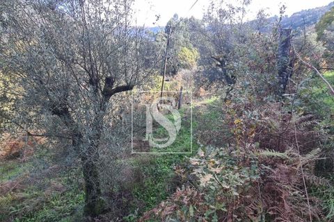 Helårsgrund i Amarante, Porto, Amarante - € 90.000 | Ref: 20251152ST/12937 - foto 11