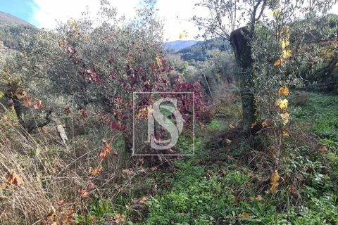 Helårsgrund i Amarante, Porto, Amarante - € 90.000 | Ref: 20251152ST/12937 - foto 12