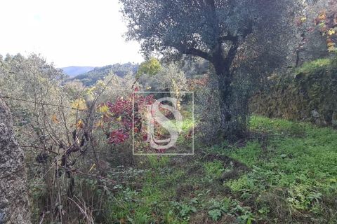 Helårsgrund i Amarante, Porto, Amarante - € 90.000 | Ref: 20251152ST/12937 - foto 13
