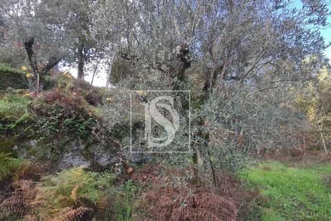 Helårsgrund i Amarante, Porto, Amarante - € 90.000 | Ref: 20251152ST/12937 - foto 14