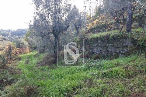 Helårsgrund i Amarante, Porto, Amarante - € 90.000 | Ref: 20251152ST/12937 - foto 15