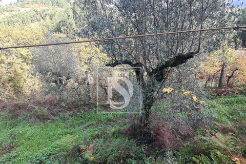 Helårsgrund i Amarante, Porto, Amarante - € 90.000 | Ref: 20251152ST/12937 - foto 17