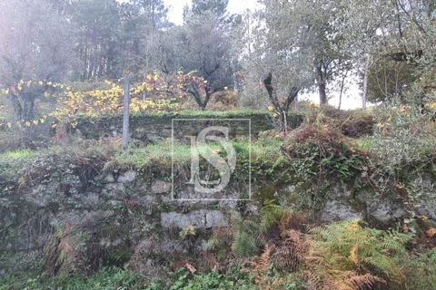 Helårsgrund i Amarante, Porto, Amarante - € 90.000 | Ref: 20251152ST/12937 - foto 18