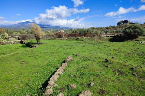 Terra a Paterno, Catania, Paterno - € 32.000 | Ref: 632 - foto 2