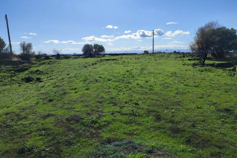 Terra a Paterno, Catania, Paterno - € 32.000 | Ref: 632 - foto 5