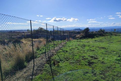 Terra a Paterno, Catania, Paterno - € 32.000 | Ref: 632 - foto 6
