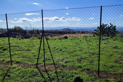 Terra a Paterno, Catania, Paterno - € 32.000 | Ref: 632 - foto 7