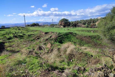 Terra a Paterno, Catania, Paterno - € 32.000 | Ref: 632 - foto 8