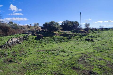 Terra a Paterno, Catania, Paterno - € 32.000 | Ref: 632 - foto 9