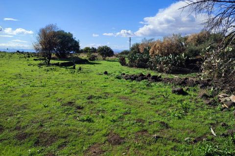 Terra a Paterno, Catania, Paterno - € 32.000 | Ref: 632 - foto 10