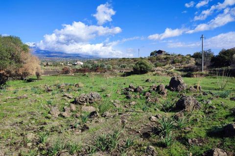 Terra a Paterno, Catania, Paterno - € 32.000 | Ref: 632 - foto 11