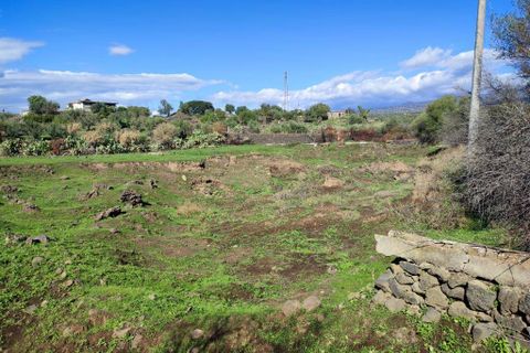 Terra a Paterno, Catania, Paterno - € 32.000 | Ref: 632 - foto 12