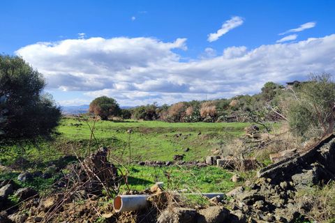 Terra a Paterno, Catania, Paterno - € 32.000 | Ref: 632 - foto 13