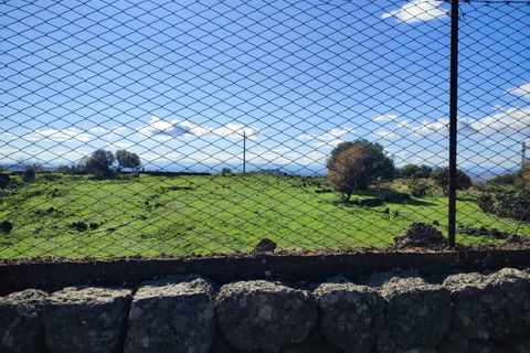 Terra a Paterno, Catania, Paterno - € 32.000 | Ref: 632 - foto 14