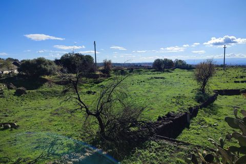 Terra a Paterno, Catania, Paterno - € 32.000 | Ref: 632 - foto 15