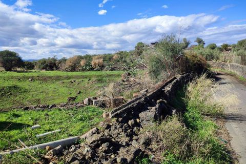 Terra a Paterno, Catania, Paterno - € 32.000 | Ref: 632 - foto 16