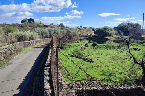 Terra a Paterno, Catania, Paterno - € 32.000 | Ref: 632 - foto 17