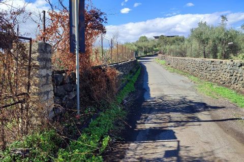 Terra a Paterno, Catania, Paterno - € 32.000 | Ref: 632 - foto 18