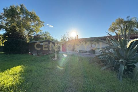 Villa a Augusta, Siracusa, Augusta - € 89.000 | Ref: 013-030 - foto 6