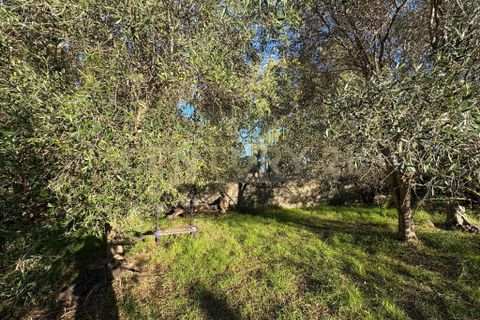 Villa a Augusta, Siracusa, Augusta - € 89.000 | Ref: 013-030 - foto 16