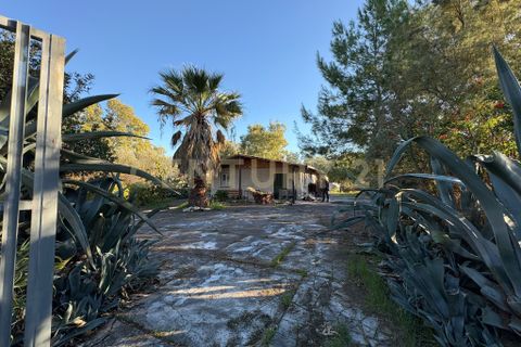 Villa a Augusta, Siracusa, Augusta - € 89.000 | Ref: 013-030 - foto 30
