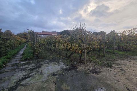 Villa a Ancede e Ribadouro, Porto, Ancede e Ribadouro - € 250.000 | Ref: C0393-01371 - foto 20