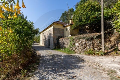 Villa i Penhalonga e Pacos de Gaiolo, Porto, Penhalonga e Pacos de Gaiolo - € 385.000 | Ref: CAS_172 - foto 3