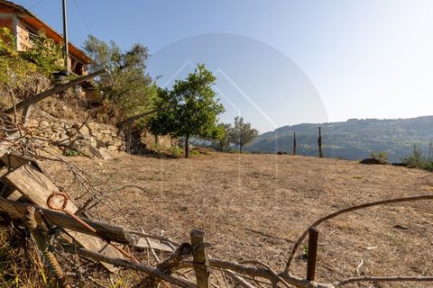 Villa i Penhalonga e Pacos de Gaiolo, Porto, Penhalonga e Pacos de Gaiolo - € 385.000 | Ref: CAS_172 - foto 34